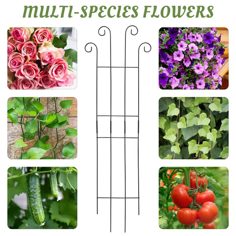 Four Pack 32 Inch Tall Wave Shape Black Metal Garden Trellis Set For Climbing Plants Indoors And Outdoors with flowers and vegetables
