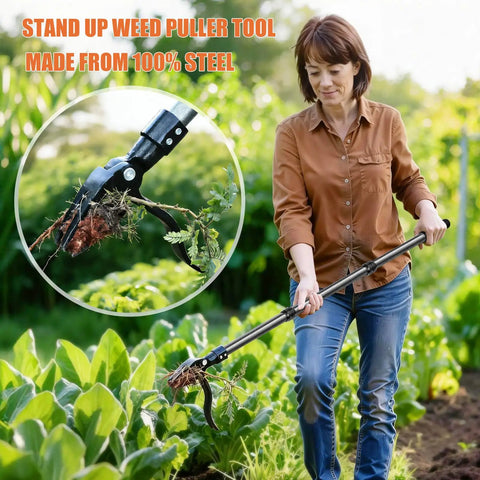 Woman using Stand Up Weed Puller Tool With 45 Inch Steel Handle And Four Claw Head For Upright Weeding No Bending Or Kneeling All Steel Construction Garden Maintenance in garden