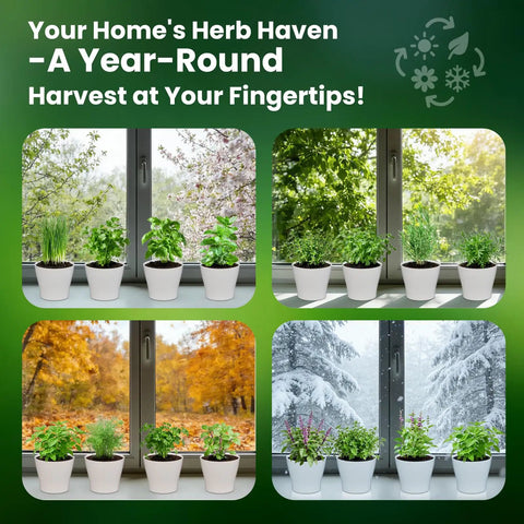 Ultimate 15 In 1 Herb Garden Starter Kit For Indoor And Outdoor Growing With 15 Popular Herb Seeds on windowsill in four seasons