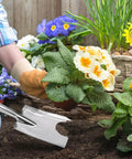Heavy Duty Stainless Steel Garden Shovel Hand Trowel Spade Built To Last For Digging Planting And Transplanting In Clay Or Rocky Soil