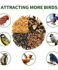 Assorted bird seeds attracting cardinals, finches, chickadees around a circle with text 'Attracting More Birds' above.