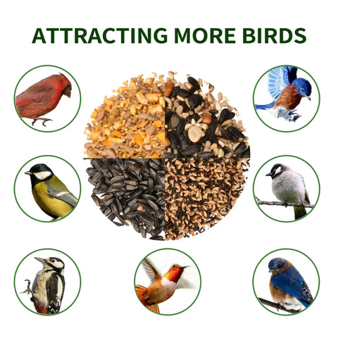 Assorted bird seeds attracting cardinals, finches, chickadees around a circle with text 'Attracting More Birds' above.