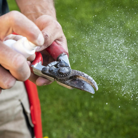 Plant Resin Remover Spray For Cutting Tools With Foaming Action on pruning tool in use