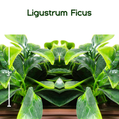 20 By 50 Inch Artificial Privacy Grass Wall Decor With Ficus Leaves And Faux Trellis Expandable Lattice Panels foliage detail