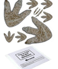 64 Piece Dinosaur Footprint Floor Decals Peel And Stick Dinosaurs Wall Tracks Stickers For Baby Nursery Bedroom Home Decor Removable Vinyl Footprints Great For DIY Walls And Floors, showing beige footprint designs on a white background.