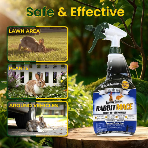 Ready-To-Use Bunny-Proof Outdoor Rabbit Repellent Spray With Mint Scent, Safe For People Pets And Plants, Keeps Your Garden And Lawn Bunny Free, 40 Fl Oz bottle on a wooden surface outdoors