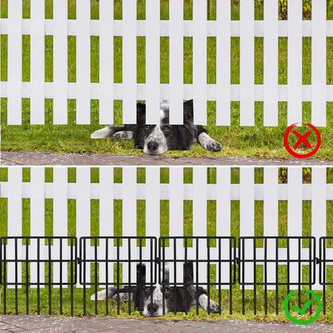 Comparison of dog under white fence and behind 22 Pack No Dig Animal Barrier Fence Panels 16 Inch High With 1.5 Inch Gap