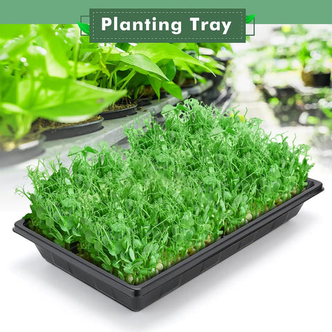 Upgraded 10 Pack Plant Growing Trays For Seed Starting And Microgreens No Holes No Leakage Durable Reusable Plastic Germination