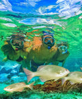Three snorkelers wearing Freedom Tri-Quest Scuba Diving Mask M-3001 with Low-Profile Low-Volume Single Window Design in ocean.
