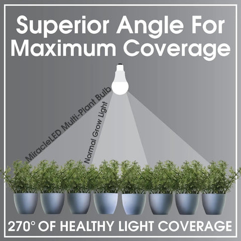 Diagram showing 11W Wide Angle LED Green Grow Room Bulb 10 Pack For Indoor Plants Budget Friendly Energy Saver Mercury Free Edison Style Grow Light For Tents And Gardens illuminating plants