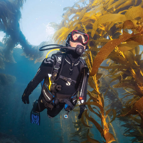 Scuba diver wearing Super Cinch Front Adjustable Scuba Diving BCD With Balanced Power Inflator for Recreational Diving in kelp forest