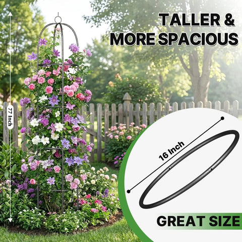 Image of a Heavy Duty Metal Climbing Plant Trellis Outdoor Freestanding Six Point Three Foot Tall Upgrade 100 Percent Metal With Powder Coating Built Tough For Roses Flowers Grapes Peas Cucumbers Tomatoes Cage in a garden, displaying height and 16-inch diameter.