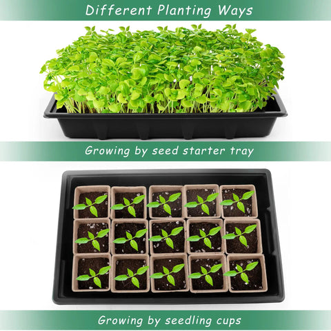 4 Pack Seed Starter Tray Kit With 120 Square Peat Pots, 120 Plant Labels, And 3 Garden Tools, Plastic Germination Trays With Lids For Indoor Outdoor Seedlings Black