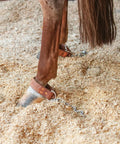 Kick Chain Harness For Horses Easy On Easy Off One Size Fits Most Stall And Trailer Safety Restraint in use on horse hoof