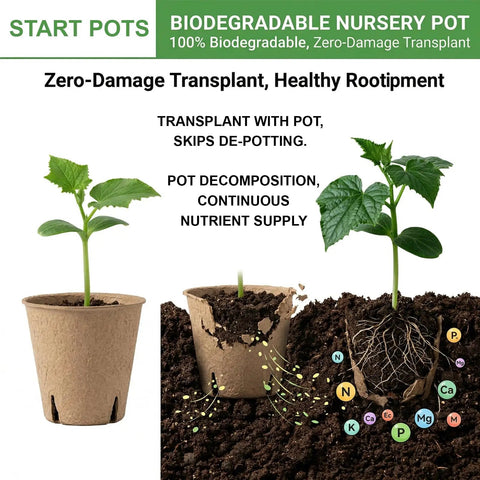 60 Pack 3.15 Inch Biodegradable Seed Pots With Drainage Holes Germination Starter Pots Kit Plus 100 Plant Labels For Gardening