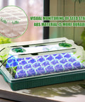 4 Pack Seed Starter Tray With Grow Light, 80 Cell Indoor Greenhouse Seed Starting Kit, shown with humidity dome and LED lights.