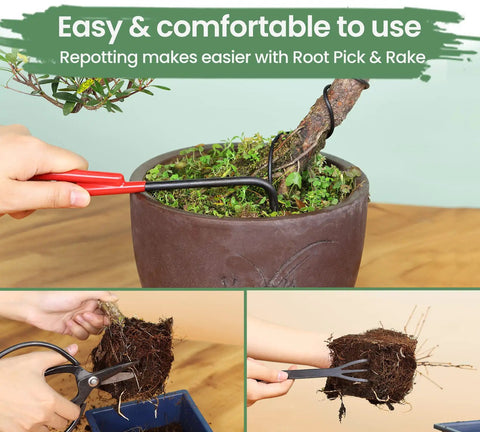 All In One Bonsai Tool Set With Wood Box 12 Piece Heavy Duty Pruning Kit Including Trimming Scissors Butterfly Shear Pro Grade Concave Cutter Wire Cutter And Five Gauge Wire Rolls For Tree Styling And Care, featuring root pick and rake in use