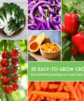Indoors Or Outdoors Vegetable Seed Kit With 20 Heirloom Non GMO Varieties For Beginners A Great Gift For Family Gardeners