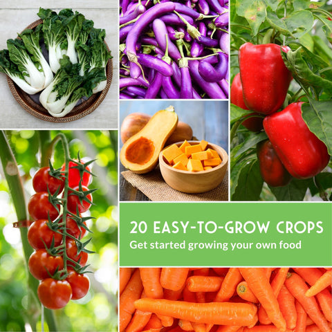Indoors Or Outdoors Vegetable Seed Kit With 20 Heirloom Non GMO Varieties For Beginners A Great Gift For Family Gardeners