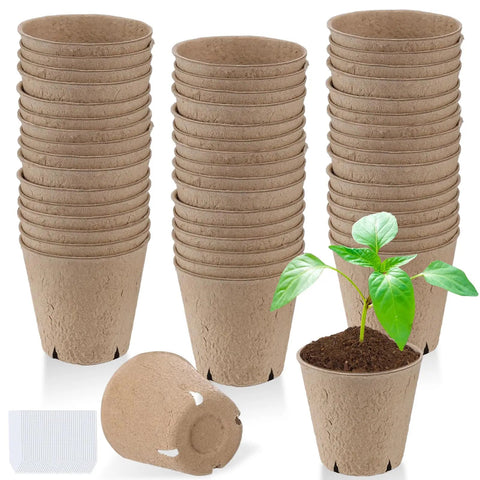 Stack of 3.2 Inch Biodegradable Peat Pots With Drainage Holes, 50 Pack Seedling Starters Kit With 100 Plant Markers shown with seedling