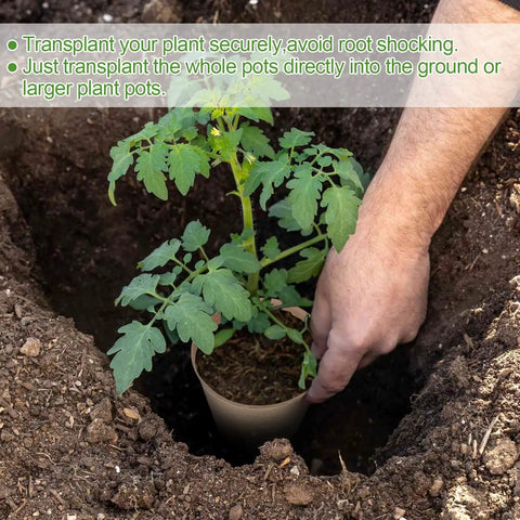 Biodegradable Seed Starter Pots 3.15 Inch Round Nursery Pots With Drainage Holes 50 Pack for Indoor Germination and Seedling Transplanting