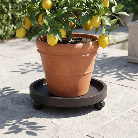 14.2 Inch Round Planter Caddy With Heavy Duty Smooth Gliding Casters, Grab And Go Wheeled Flower Pot Dolly and rolling saucer stand with potted lemon tree.