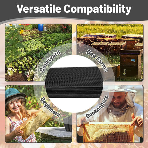 Deep Hive Waxed Coated Foundation Sheets Set For Deep Bee Frames, showcasing versatility in courtyard and bee farms use.
