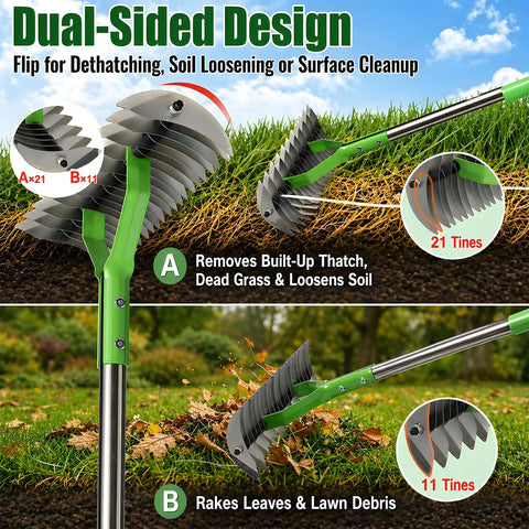 Dual-sided design of powerful thatch rake for lawns with 13 inch wide head and 21 carbon steel tines for dethatching and scarifying