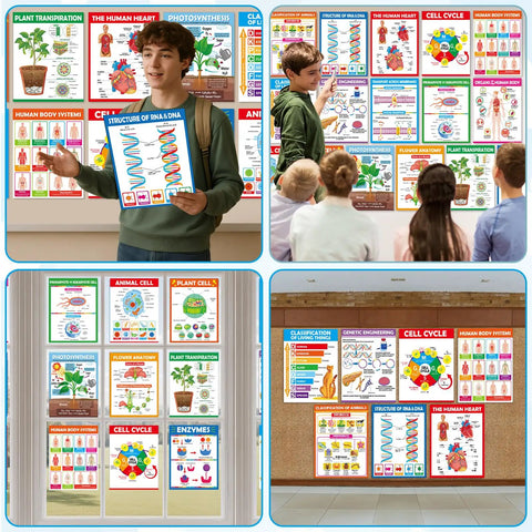16 Pack Life Science Biology Posters For Classroom Decor Anatomy And Cell Structure Charts DNA Photosynthesis Cell Cycle Plant And Animal Cells High School Education Teachers Bulletin Board Wall Decor displayed on classroom walls with students and teachers interacting.