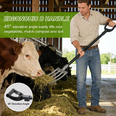 Man using Rugged 46 Inch Garden Pitch Fork With Four Tines Heavy Duty Steel Ergonomic D Handle Anti Rust Coating in barn with cows.