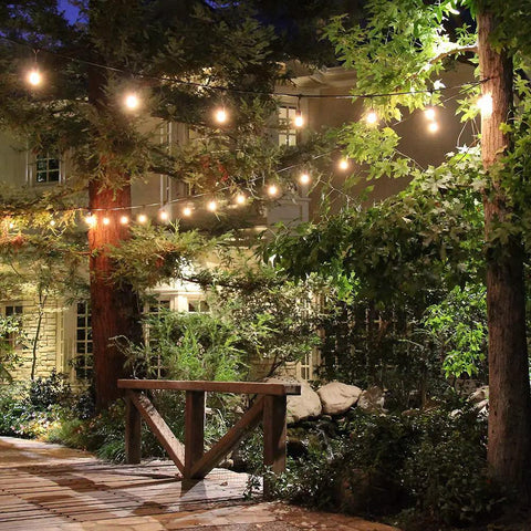 30 Foot Outdoor String Lights With 10 Incandescent Sockets Dimmable Weather Resistant Black Wire Hangout Ready Patio Backyard Deck