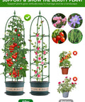 Outdoor Climbing Plant Trellis Obelisk 6Ft Garden Support Tower Tough As Nails Rustproof PE Coated Metal Thickened Tube For Clematis Vine And Potted Plants Adjustable Heights 36 52 70 Inches Indoor Or Outdoor displaying potted plants with improved vertical growth.