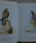 Classic Falconry From The British Isles Facsimile Edition 1855 Classic With 24 Full Color Plates Of Hawks Falcons And Falconry Gear