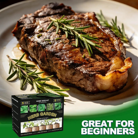 Cooked steak garnished with fresh rosemary on a plate next to Five Herb Indoor Starter Kit For Kitchen Garden Complete Planting Set With Planter Bags, Markers, Soil Disks, Mini Shears, And Quick Guide For Easy Beginner Growers To Start A Fresh Indoor Herb Garden package.