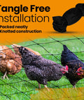 Chickens behind Heavy Duty Bird Netting For Chicken Coops And Garden Use One And A Half Inch Mesh To Stop Hawks And Predators Protect Trees