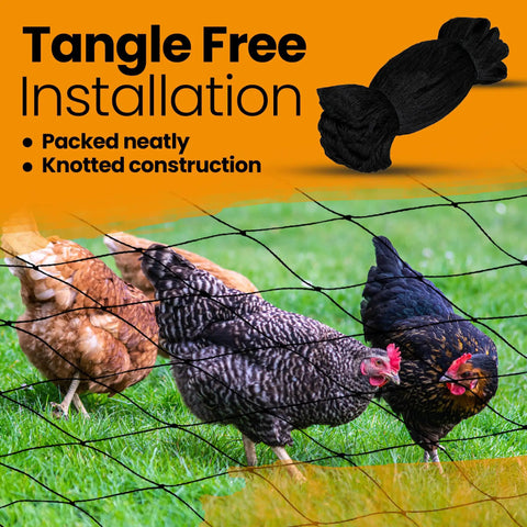 Heavy Duty Bird Netting For Chicken Coops And Runs 50 By 50 Feet With 2.2 By 2.2 Inch Mesh Keeps Hawks, Raccoons, Foxes