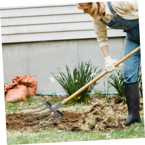 Person using a heavy duty steel farm fork with four prongs for soil loosening and turning in a garden