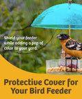 Clear Dome Bird Feeder Rain Guard Ten And A Half Inch Weather Shield over bird feeder protecting bird