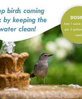 Fast Acting Enzyme Based Bird Bath and Fountain Cleaner 8 Oz Bottle Helps Your Water Feature Stay Clean, Reduces Muck and Odors