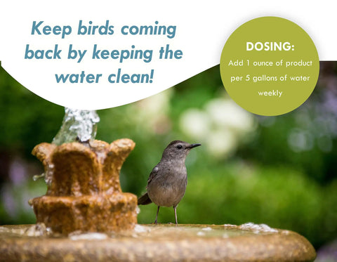 Fast Acting Enzyme Based Bird Bath and Fountain Cleaner 8 Oz Bottle Helps Your Water Feature Stay Clean, Reduces Muck and Odors