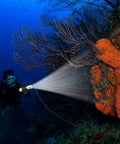 Diving Flashlight With Beast Bright LED Underwater Light For Scuba And Outdoor Adventures illustrating bright beam on coral
