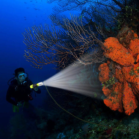 Diving Flashlight With Beast Bright LED Underwater Light For Scuba And Outdoor Adventures illustrating bright beam on coral