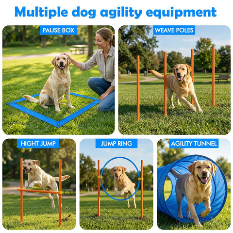 Dog Agility Course Backyard Set For Training And Totally Fun, Easy Setup Obstacle Kit with dog in pause box and weave poles