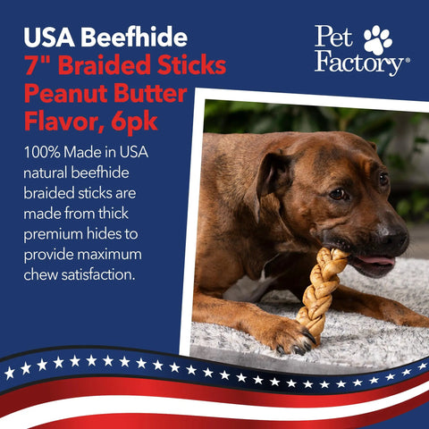 Dog chewing on Braided Beefhide Dog Chews With Peanut Butter Flavor 7 Inch Long USA Made Rawhide Chews For Medium Dogs