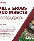 Mineiro 2F Flex Twenty One Point Four Percent Imidacloprid Insecticide Concentrate for Grub and Bug Control on Lawns 32 Oz.