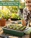 24 Pack Seed Starter Pods With Reusable Tray, Hydroponic Grow Sponges for Seed Starting and Propagation in home garden