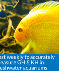 Slick Freshwater Aquarium GH And KH Water Test Kit Featuring Pro Level Liquid Reagents For Crystal Clear Tanks Easy Drop Method To Track Hardness Levels And Keep Fish Thriving Without Any Fuss Or Overpriced Gear, colorful tropical fish.