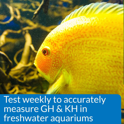Slick Freshwater Aquarium GH And KH Water Test Kit Featuring Pro Level Liquid Reagents For Crystal Clear Tanks Easy Drop Method To Track Hardness Levels And Keep Fish Thriving Without Any Fuss Or Overpriced Gear, colorful tropical fish.