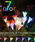 Outdoor Solar Lily Lights Upgraded Multi Color Changing Flower Garden Lights For Patio And Yard, Bigger Lily Flower And Wider Panel, Maintenance Free And Easy Install, 2 Pack In Purple And Red, glowing in garden at night