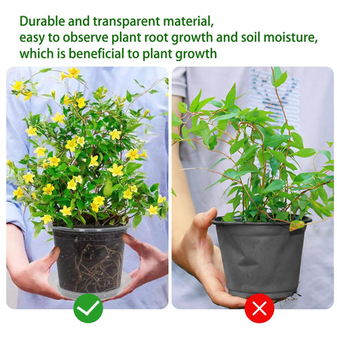 Person holding Clear 4 Inch Nursery Pots With Drainage And Saucers, 20 Pack Transparent Plant Pots For Seedlings showing root visibility.